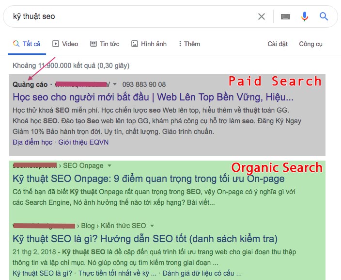 So sánh Paid Search và Organic Search