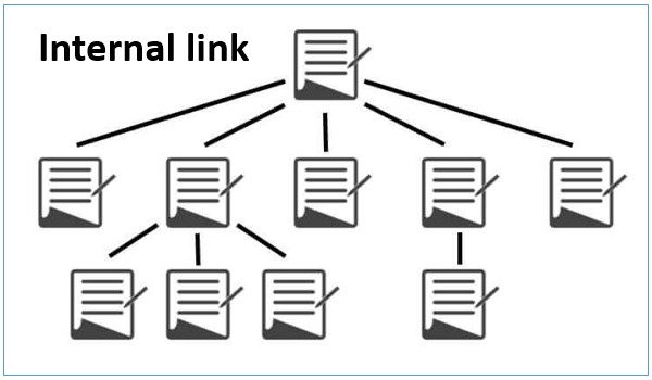 Internal Link là gì